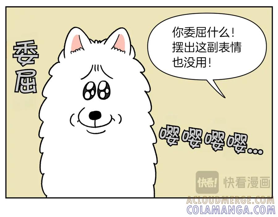 《我的狗子叫棉花》第35话 永远肚子饿的狗 第13页