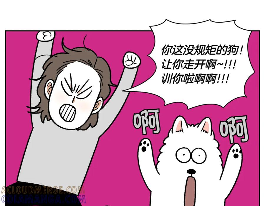 《我的狗子叫棉花》第35话 永远肚子饿的狗 第10页