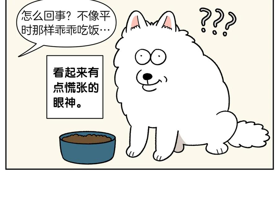 《我的狗子叫棉花》第35话 永远肚子饿的狗 第30页