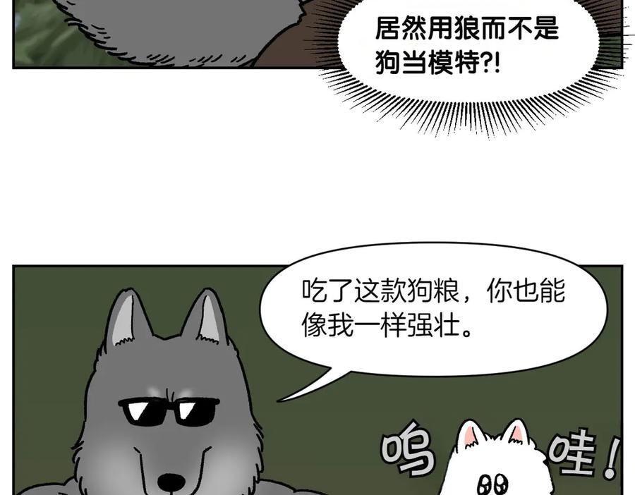 《我的狗子叫棉花》第35话 永远肚子饿的狗 第41页