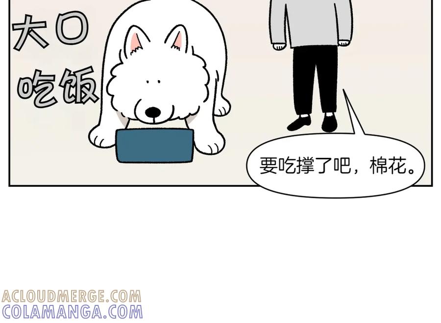《我的狗子叫棉花》第35话 永远肚子饿的狗 第34页