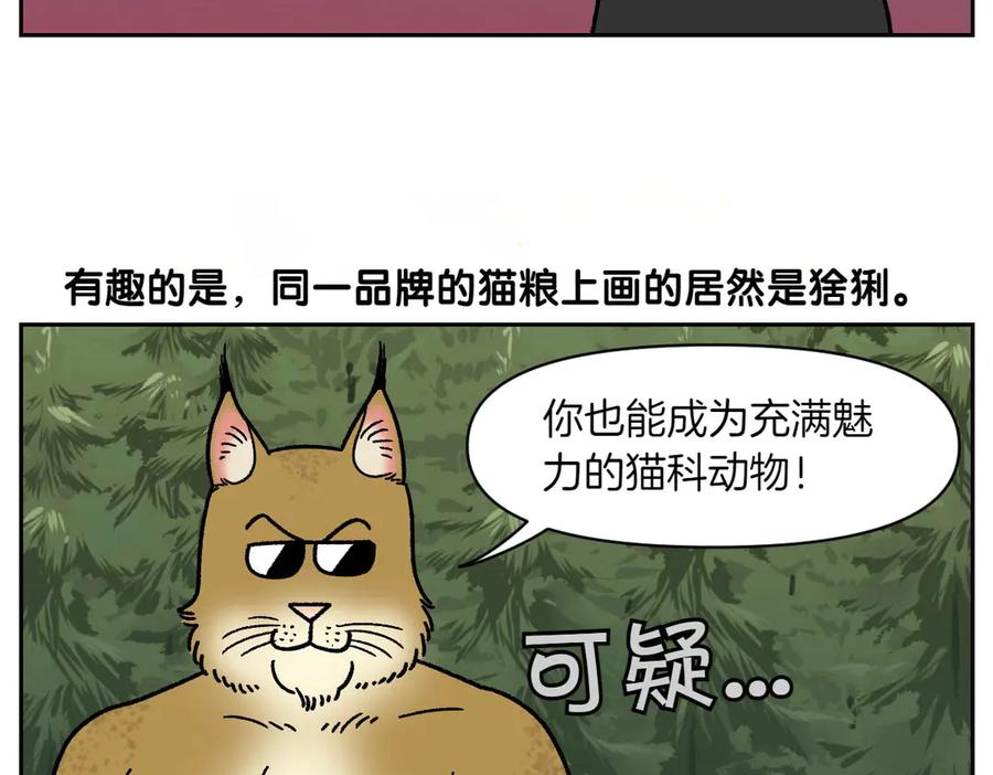 《我的狗子叫棉花》第35话 永远肚子饿的狗 第44页