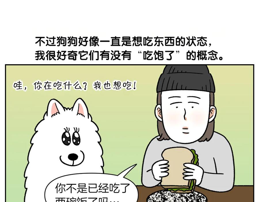 《我的狗子叫棉花》第35话 永远肚子饿的狗 第35页