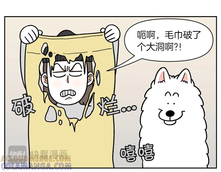 《我的狗子叫棉花》第36话 狗和猫的身体语言 第10页