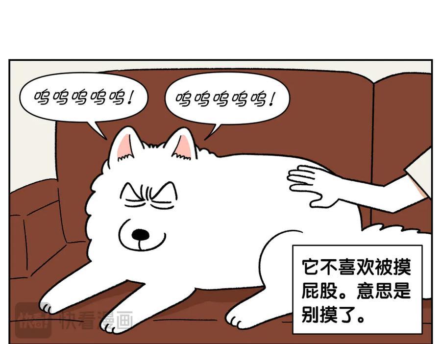 《我的狗子叫棉花》第36话 狗和猫的身体语言 第36页
