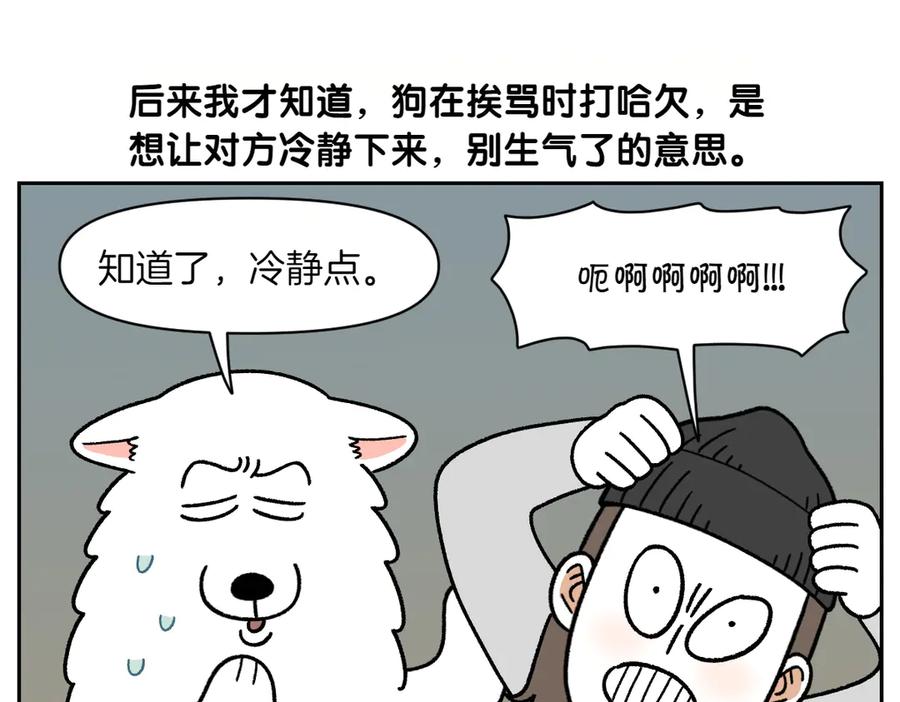 《我的狗子叫棉花》第36话 狗和猫的身体语言 第18页