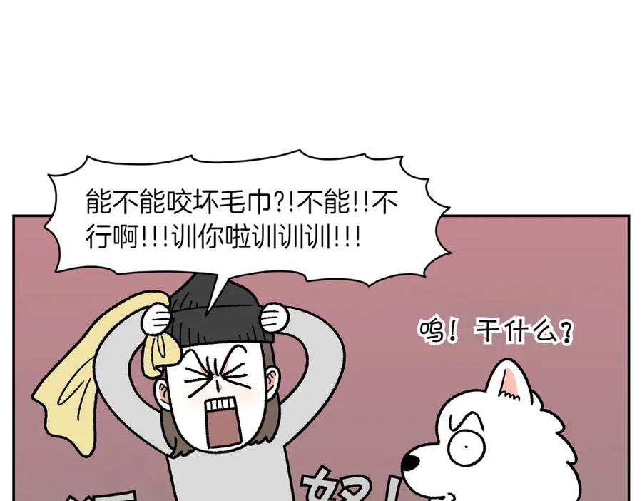《我的狗子叫棉花》第36话 狗和猫的身体语言 第11页