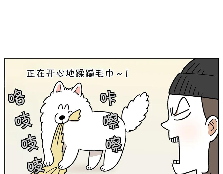《我的狗子叫棉花》第36话 狗和猫的身体语言 第6页