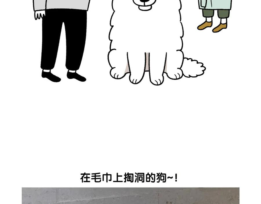 《我的狗子叫棉花》第36话 狗和猫的身体语言 第47页
