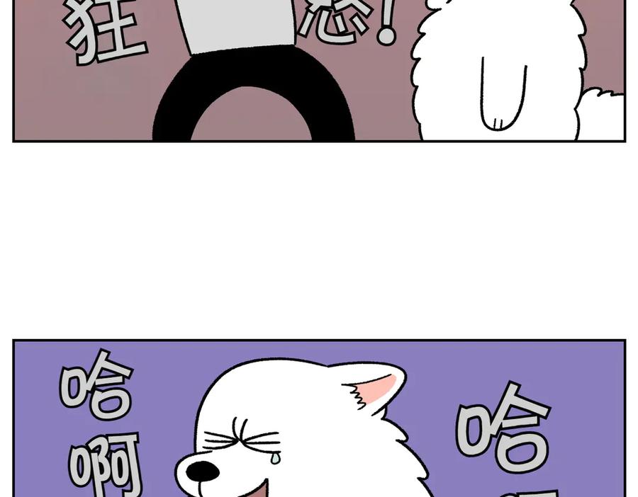 《我的狗子叫棉花》第36话 狗和猫的身体语言 第12页