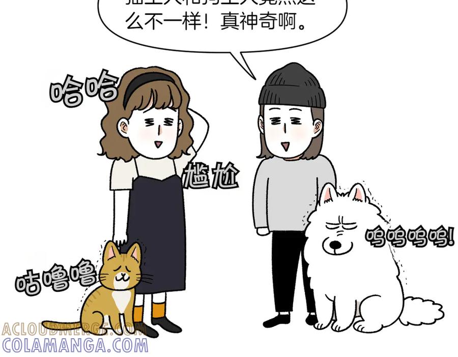 《我的狗子叫棉花》第36话 狗和猫的身体语言 第40页