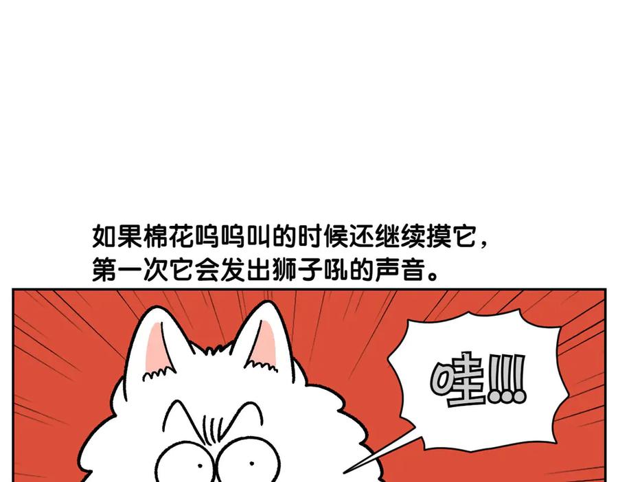 《我的狗子叫棉花》第36话 狗和猫的身体语言 第41页