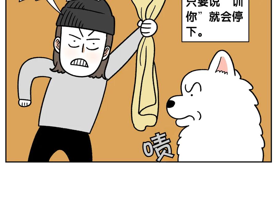 《我的狗子叫棉花》第36话 狗和猫的身体语言 第9页