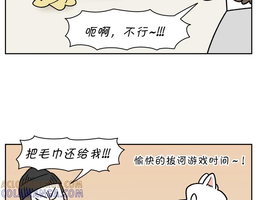 《我的狗子叫棉花》第36话 狗和猫的身体语言 第7页