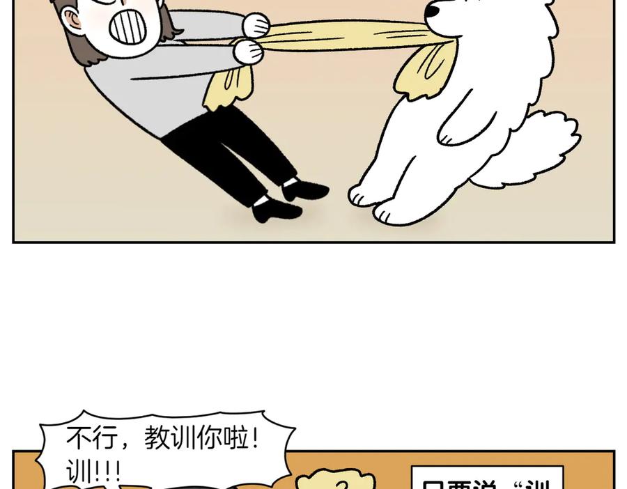 《我的狗子叫棉花》第36话 狗和猫的身体语言 第8页