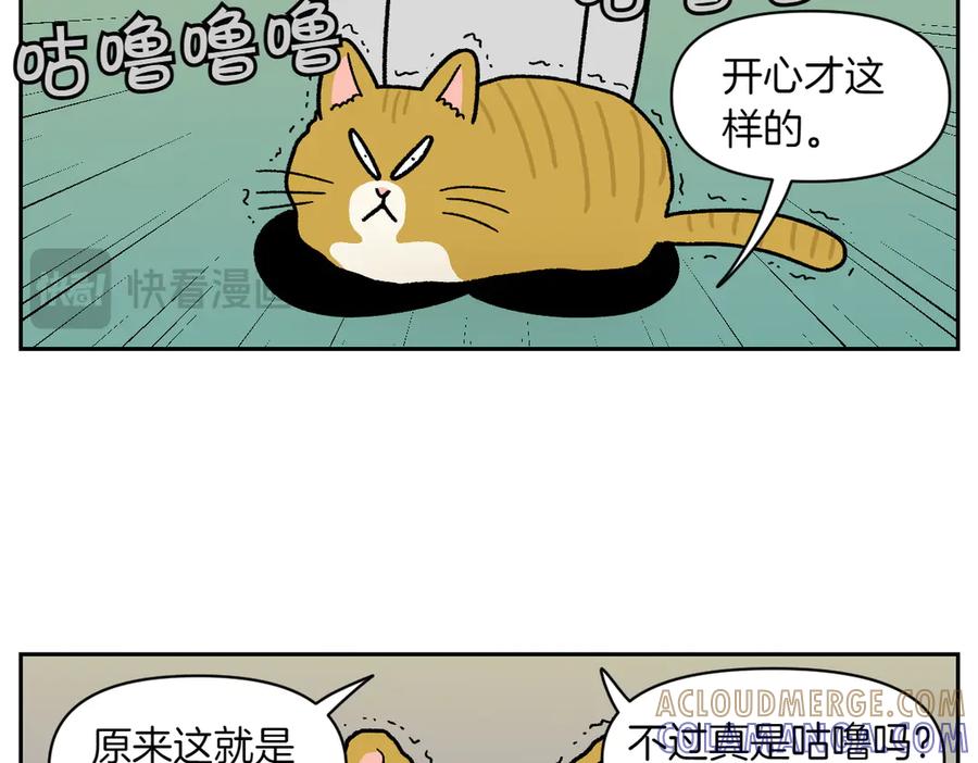 《我的狗子叫棉花》第36话 狗和猫的身体语言 第31页