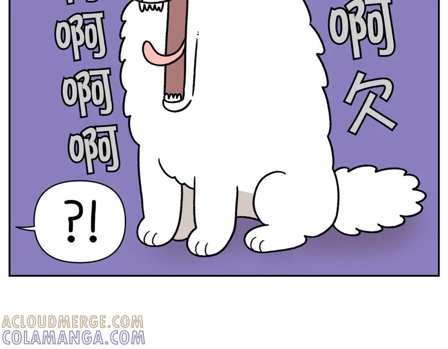 《我的狗子叫棉花》第36话 狗和猫的身体语言 第13页