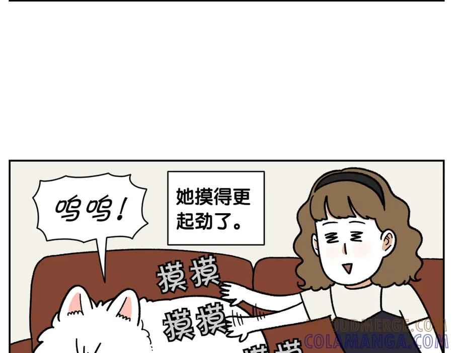 《我的狗子叫棉花》第36话 狗和猫的身体语言 第37页