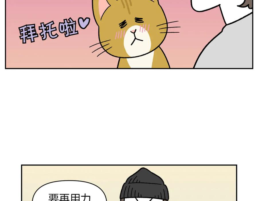 《我的狗子叫棉花》第36话 狗和猫的身体语言 第27页