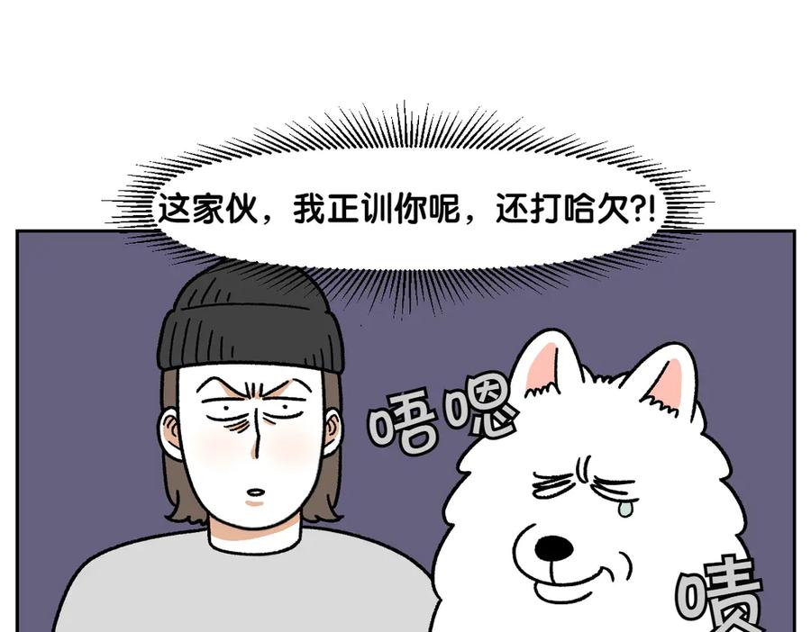 《我的狗子叫棉花》第36话 狗和猫的身体语言 第14页