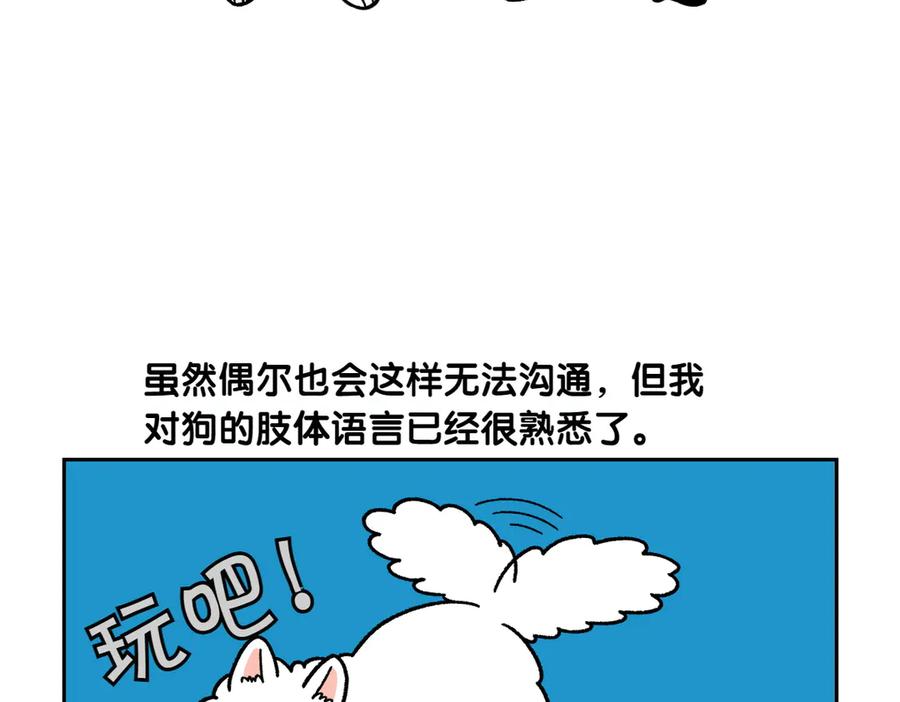 《我的狗子叫棉花》第36话 狗和猫的身体语言 第21页