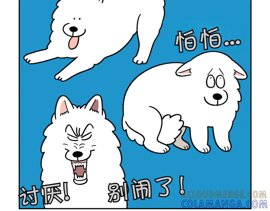 《我的狗子叫棉花》第36话 狗和猫的身体语言 第22页