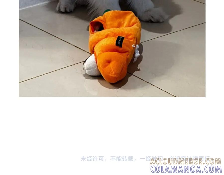 《我的狗子叫棉花》第36话 狗和猫的身体语言 第49页