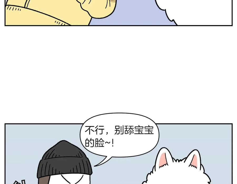 《我的狗子叫棉花》第37话 宝宝客人和棉花 第15页