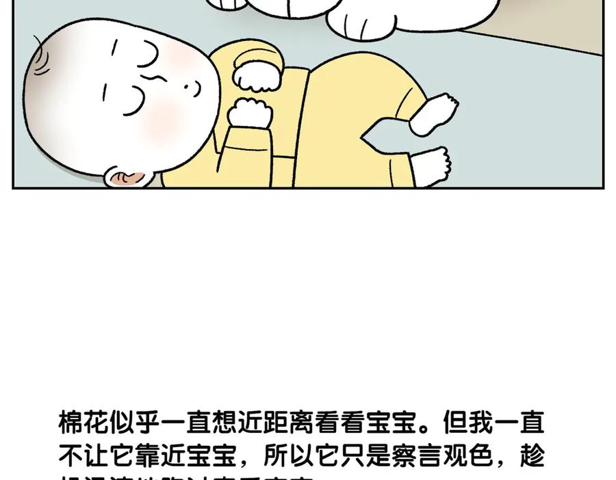 《我的狗子叫棉花》第37话 宝宝客人和棉花 第44页