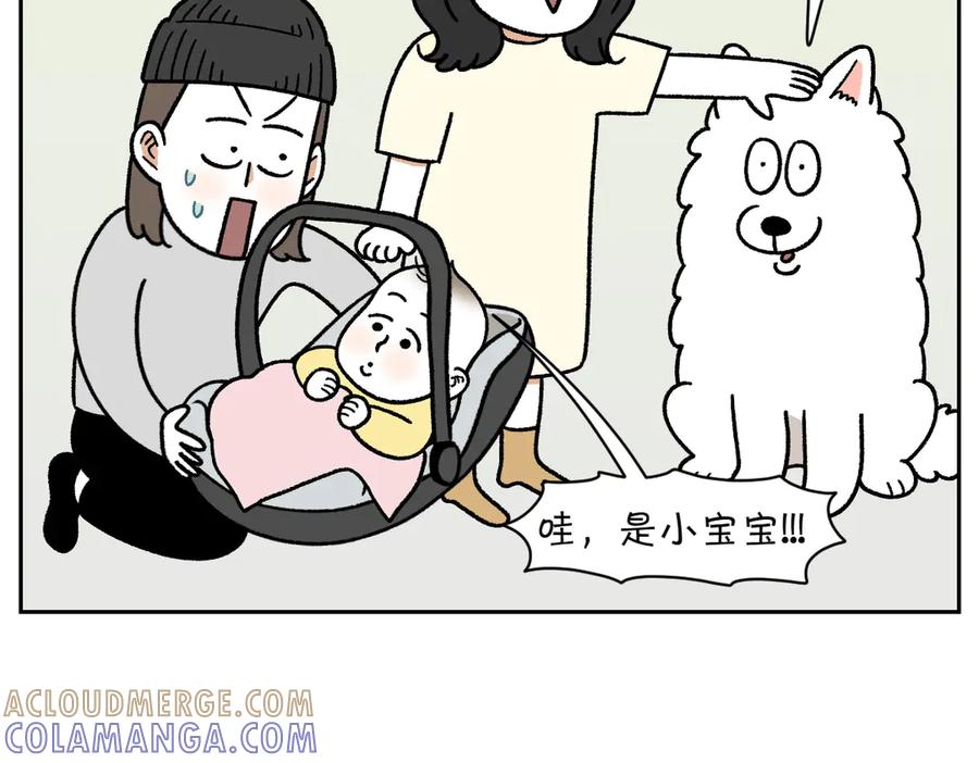 《我的狗子叫棉花》第37话 宝宝客人和棉花 第7页