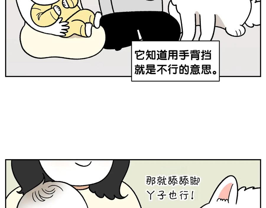 《我的狗子叫棉花》第37话 宝宝客人和棉花 第18页