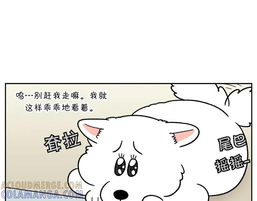 《我的狗子叫棉花》第37话 宝宝客人和棉花 第43页