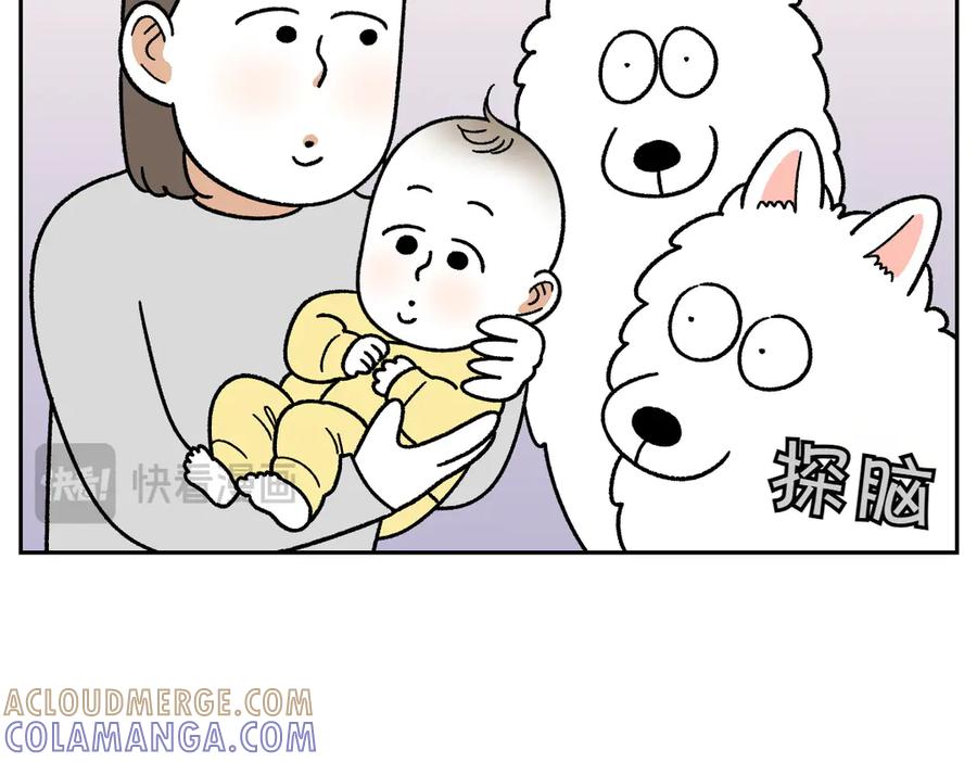《我的狗子叫棉花》第37话 宝宝客人和棉花 第13页
