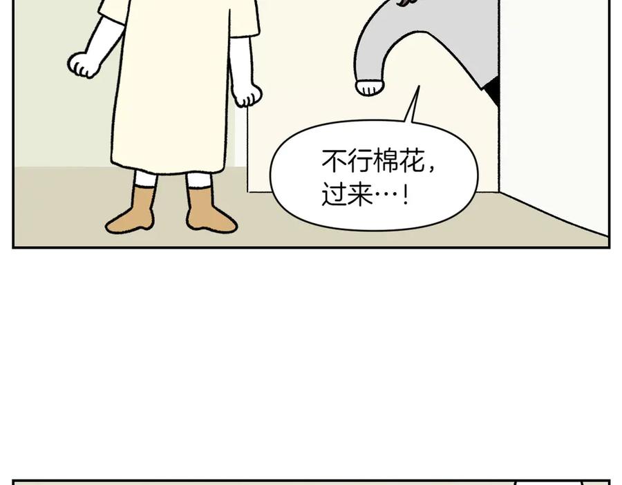 《我的狗子叫棉花》第37话 宝宝客人和棉花 第41页