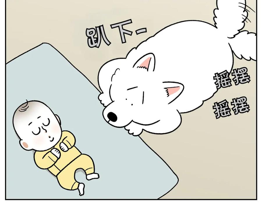 《我的狗子叫棉花》第37话 宝宝客人和棉花 第42页