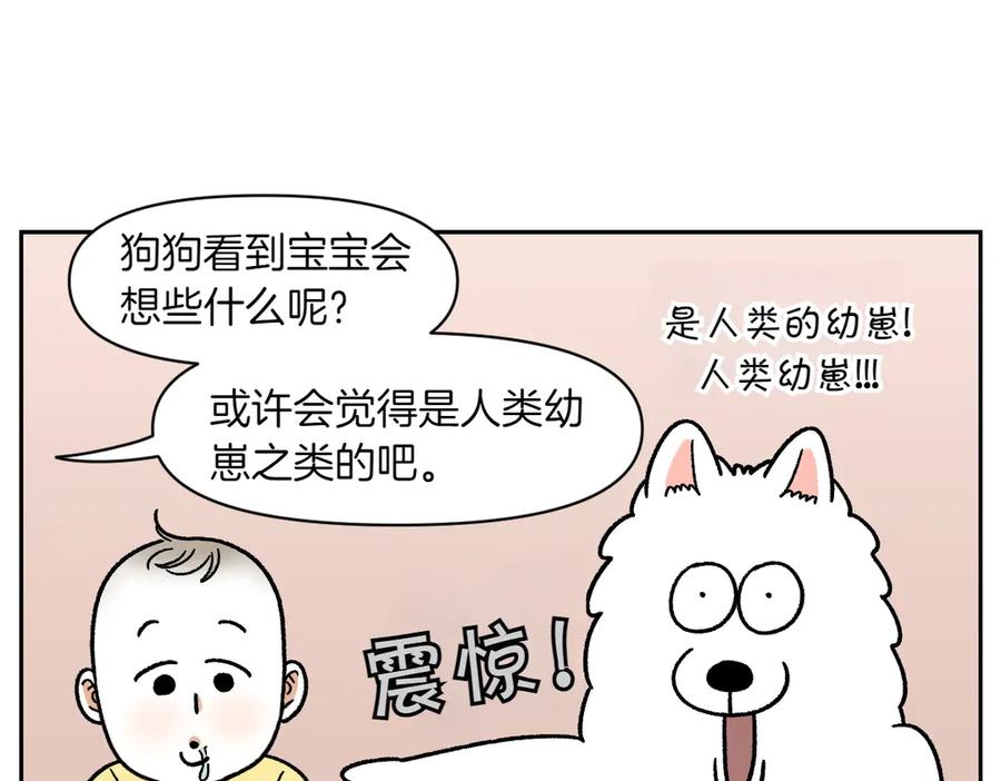 《我的狗子叫棉花》第37话 宝宝客人和棉花 第11页