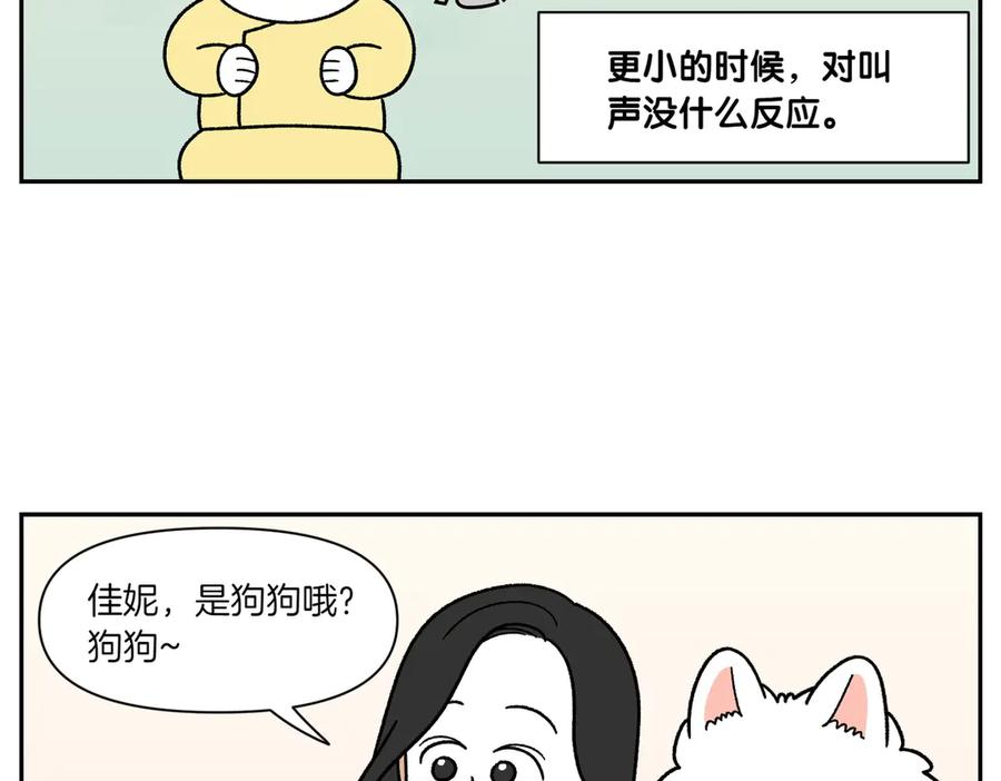 《我的狗子叫棉花》第38话 狗和宝宝的共同点 第12页