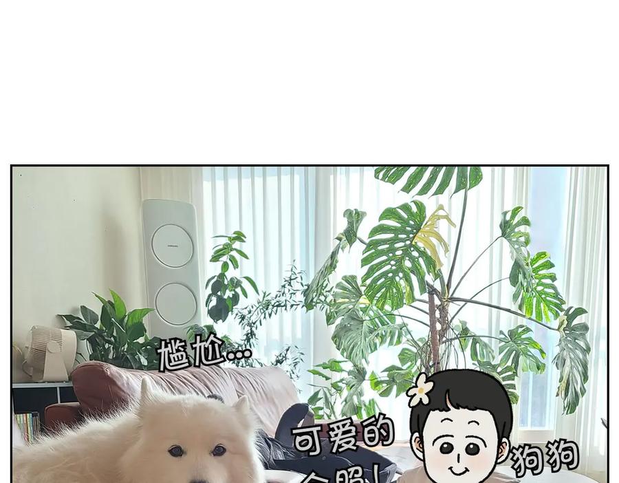 《我的狗子叫棉花》第38话 狗和宝宝的共同点 第44页