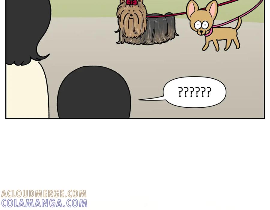 《我的狗子叫棉花》第38话 狗和宝宝的共同点 第28页