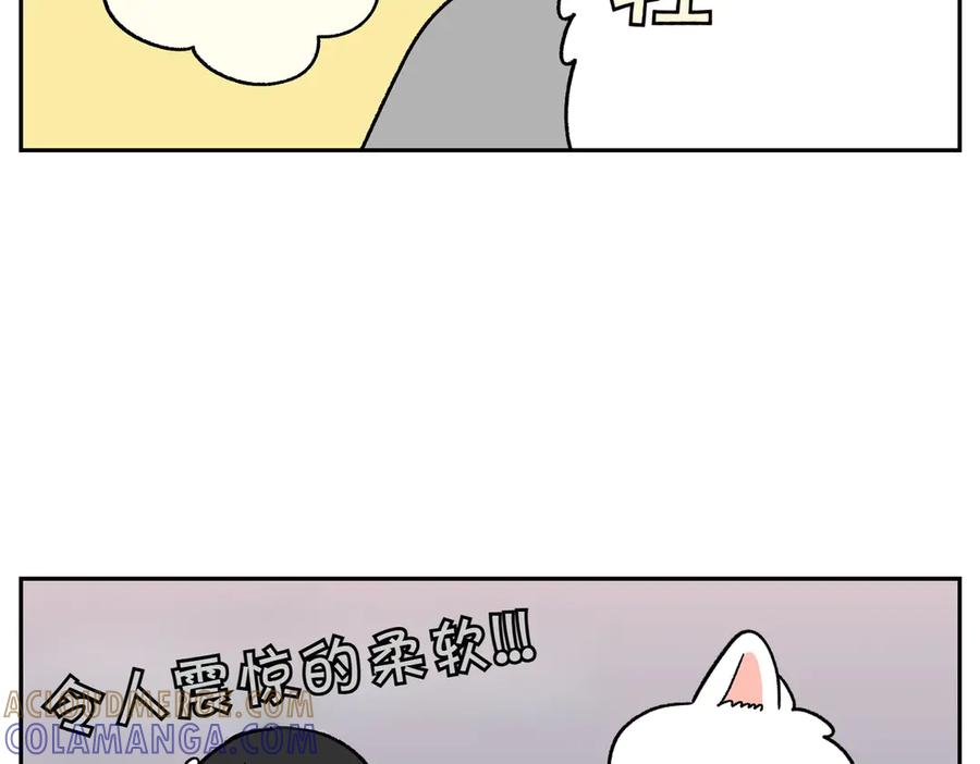 《我的狗子叫棉花》第38话 狗和宝宝的共同点 第19页