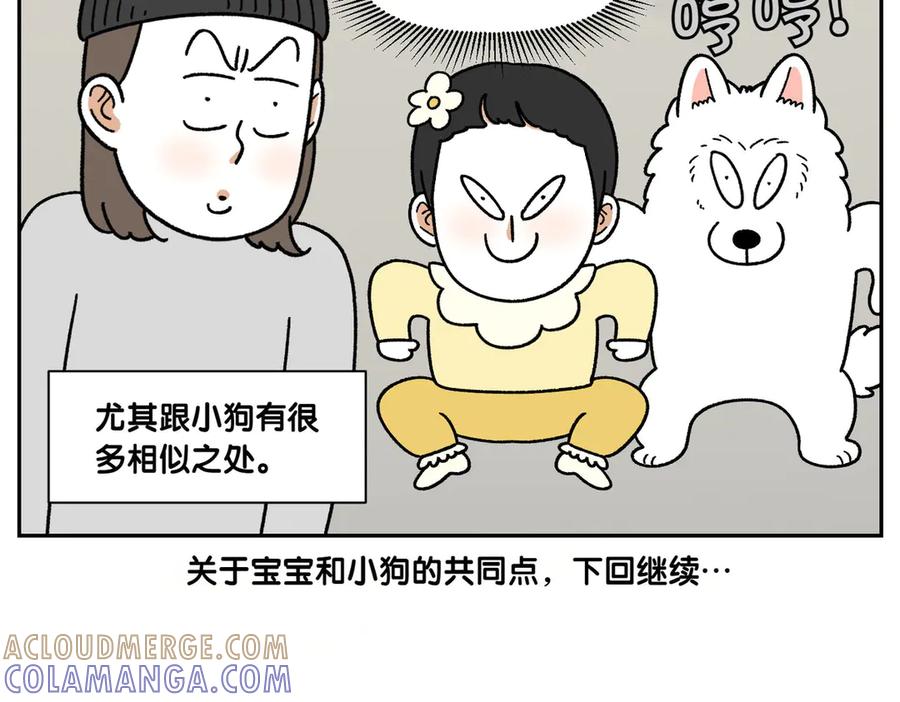 《我的狗子叫棉花》第38话 狗和宝宝的共同点 第43页