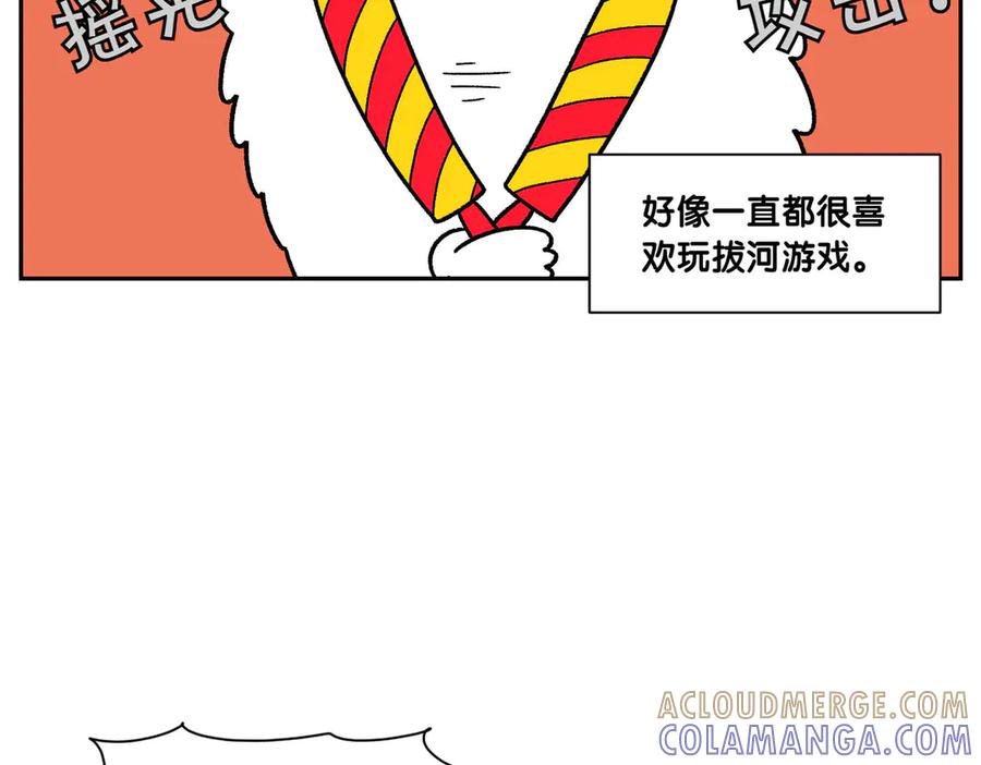 《我的狗子叫棉花》第39话 狗和宝宝的共同点2 第40页