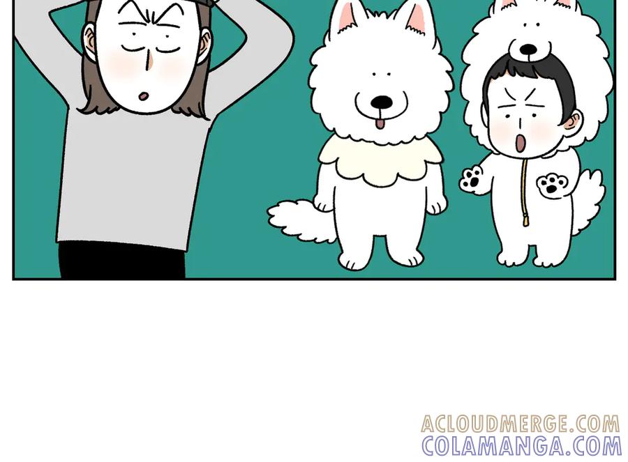 《我的狗子叫棉花》第39话 狗和宝宝的共同点2 第34页