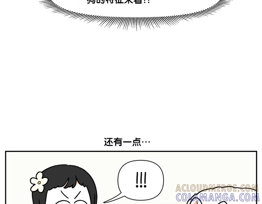 《我的狗子叫棉花》第39话 狗和宝宝的共同点2 第16页