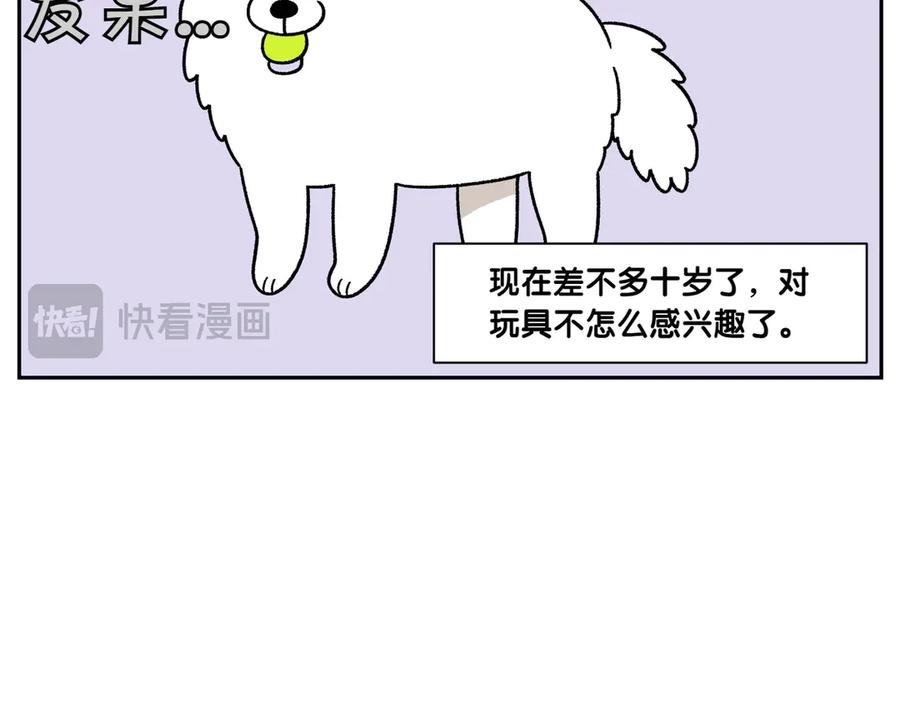 《我的狗子叫棉花》第39话 狗和宝宝的共同点2 第26页