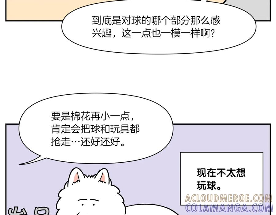 《我的狗子叫棉花》第39话 狗和宝宝的共同点2 第25页