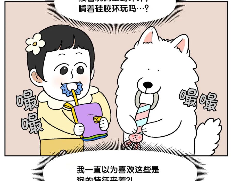 《我的狗子叫棉花》第39话 狗和宝宝的共同点2 第15页