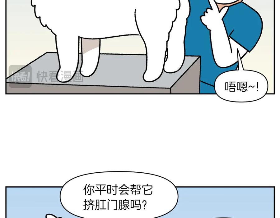 《我的狗子叫棉花》第40话 挤肛门腺 第11页
