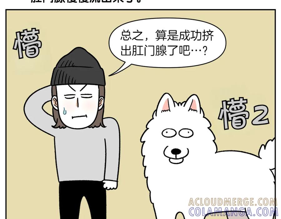 《我的狗子叫棉花》第40话 挤肛门腺 第43页