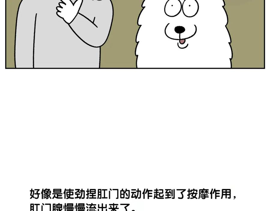 《我的狗子叫棉花》第40话 挤肛门腺 第42页